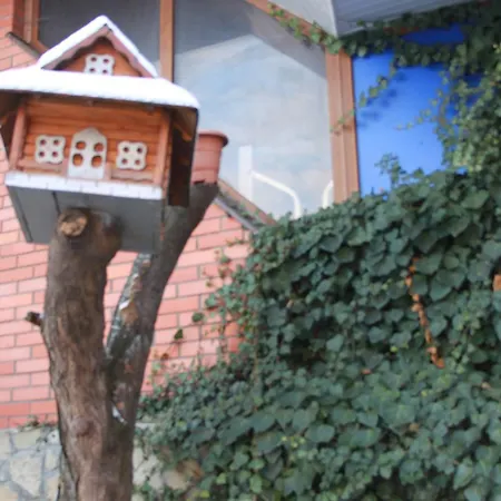 U Romana Kır Evi Yaremche