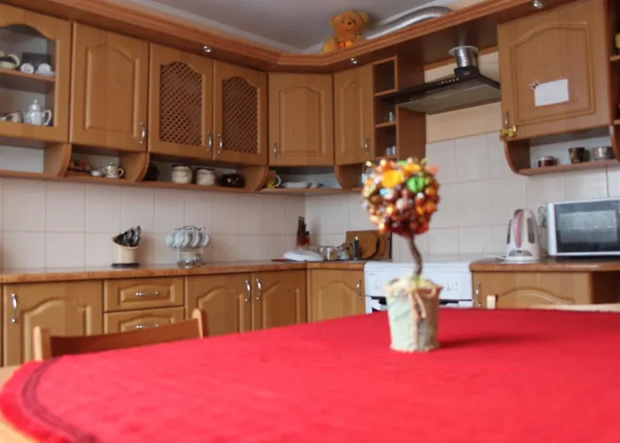 U Romana Kır Evi *